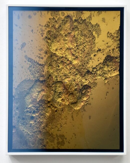 WolfgangFlad_darksideofthemoon_2024