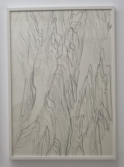 AldonaKut_Showroom2080_3