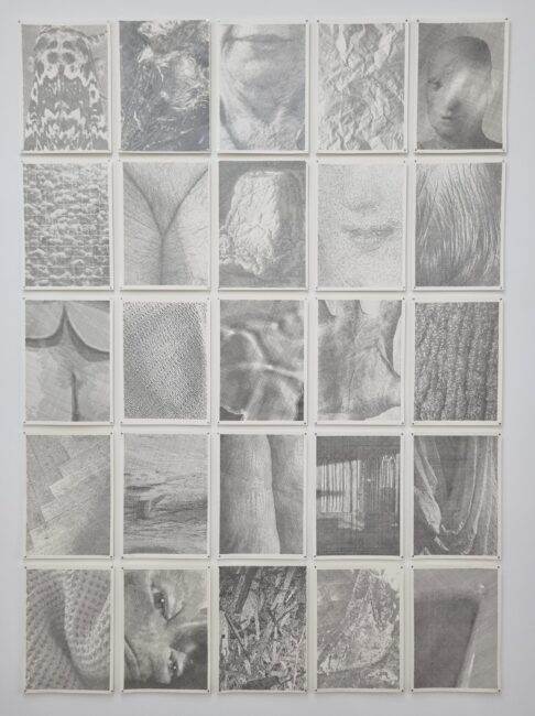FÜNFPLUSDREI_WOHLGENANNT_SHOWROOM_2080